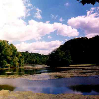 Summer Day By Mount Gilead Lake