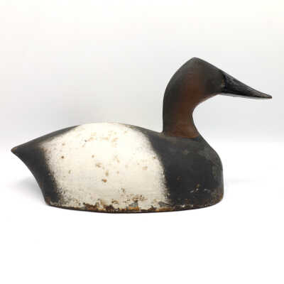 Sink Box Decoy, Canvasback (Drake)