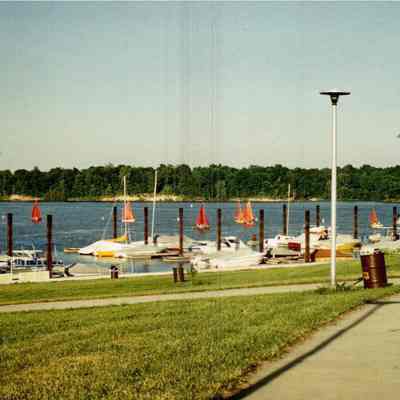 Sailboats On A Sunny Day