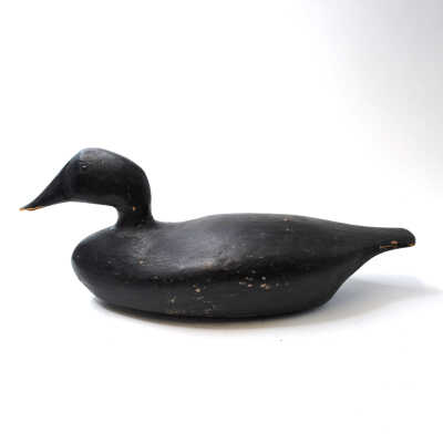 Decoy, American Black Duck