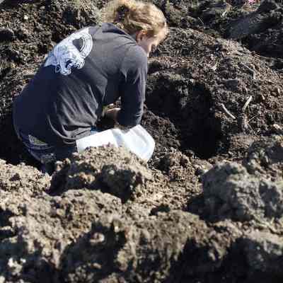 Ohio Geological Survey IMG_7206: Molly E. Hunt analyzing paleontological remains in Licking County in February 2023. 
Photo and archived by Douglas Aden