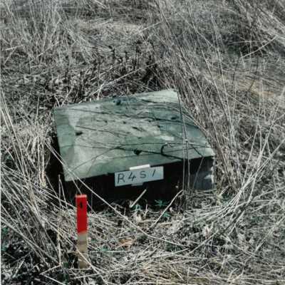 Row 4 - Headstone 1