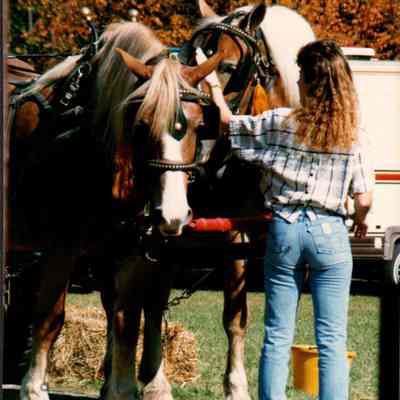 Woman Petting Horses