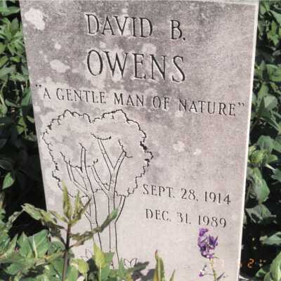 David B. Owens (1914 - 1989)