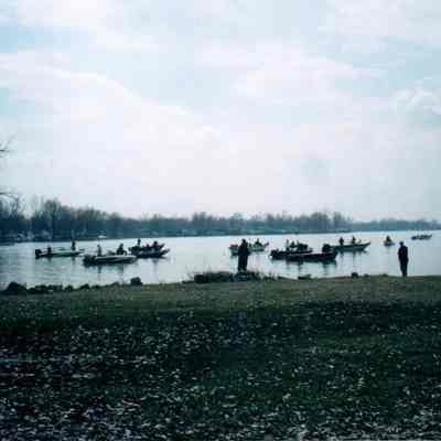 Fishing Bonanza