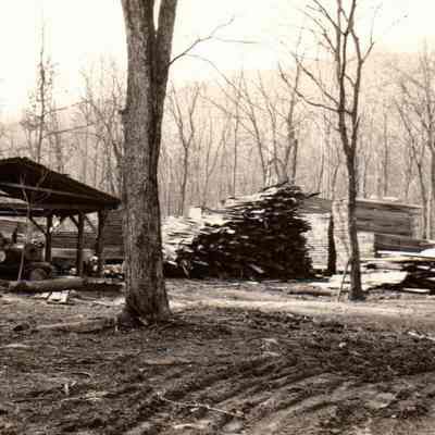 Lumber Camp