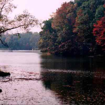 Tranquil Autumn Scene
