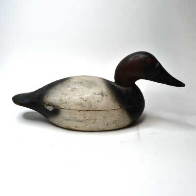 Decoy, Canvasback (Drake), Mason Premier