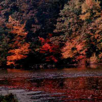 Autumn On The Lake