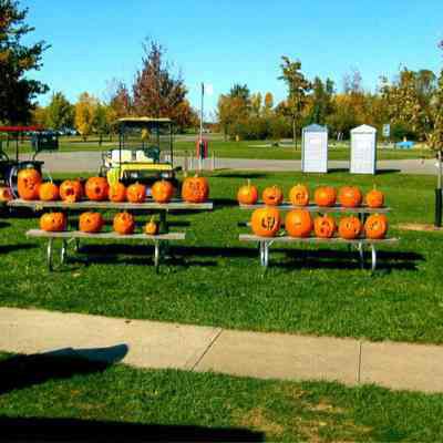 Picnic Table Jack-O-Lanterns