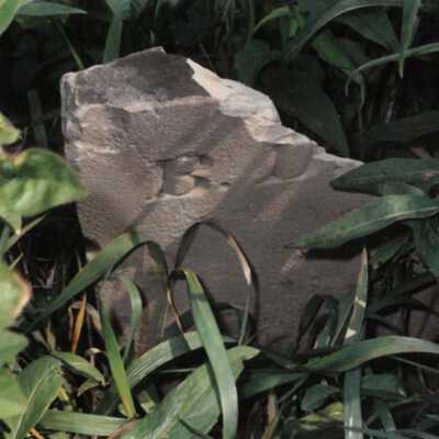 Row 6 - Headstone 6