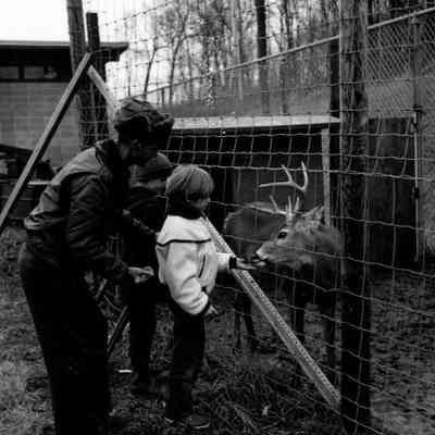 Feeding Time