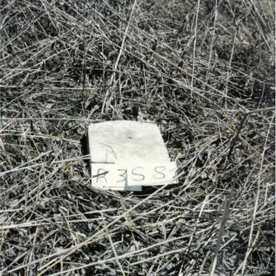 Row 3 - Headstone 8