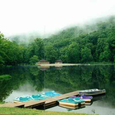 A Misty Morning
