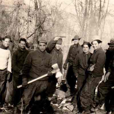 Cutting Wood