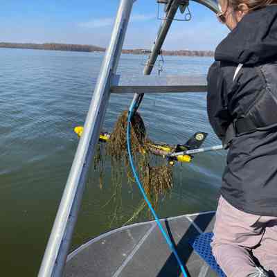 Ohio Geological Survey IMG_2019: Mindy Thomas at work on Indian Lake (Logan County) in November 2022
Photo by Jeffery Deisher. Archived by Molly E. Hunt