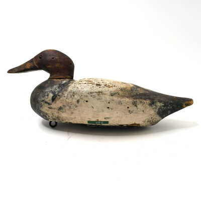 Decoy, Canvasback (Drake), Jasper N. Dodge