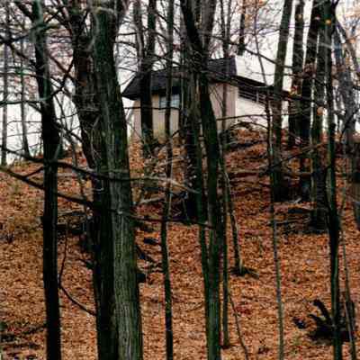 Autumn Hillside