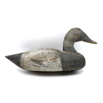 Decoy, Canvasback Drake