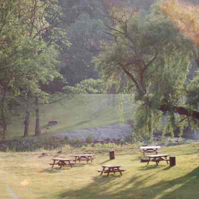 Wooded Picnic Area Below Dam