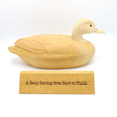 Display, Making of a Decoy - Step 4, John Sharon