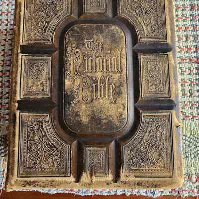 1873 AJHolman & Co, Philadelphia, Pictoral Bible, Jackson Family