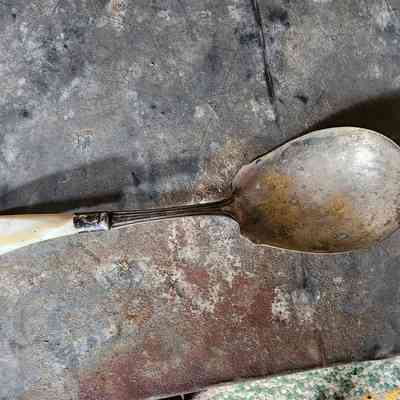 Pearl Handled Serving Spoon