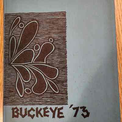 1973 Napoleon High School Yearbook