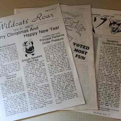 (3) 1993 NHS Wildcat Roar Publications