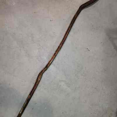 SteamTrain Maury Walking Stick