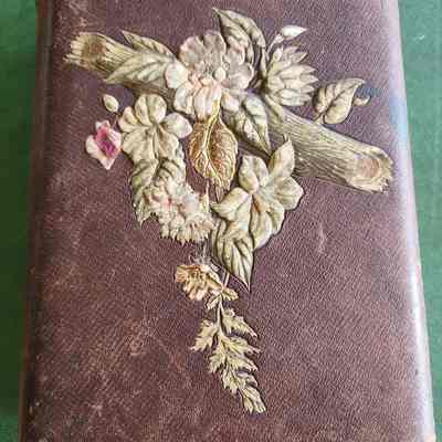 Leather & Celluloid Victorian Album, Cabinet Cards, Tintypes, 17 pages