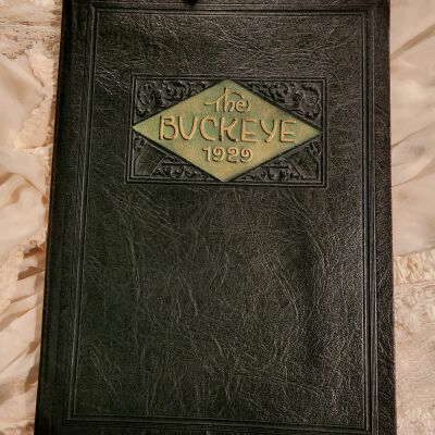 1929 Buckeye Napoleon High School Yearbook