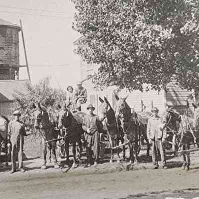 Oakwood Avenue near Railroad Street, Napoleon