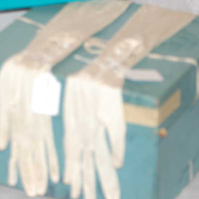 Left Hand Silk Glove