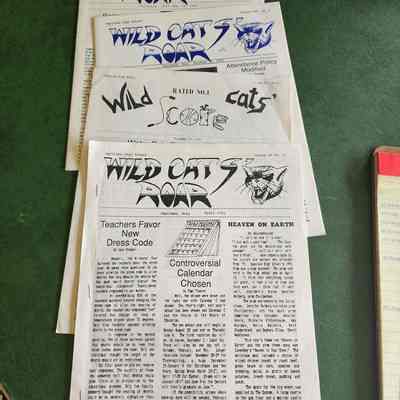 (4) 1991 NHS Wildcat Roar Publications