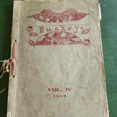 1918 Napoleon Yearbook