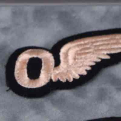 1939-1945 Royal Canadian Air Force Observer's wing qualification badge