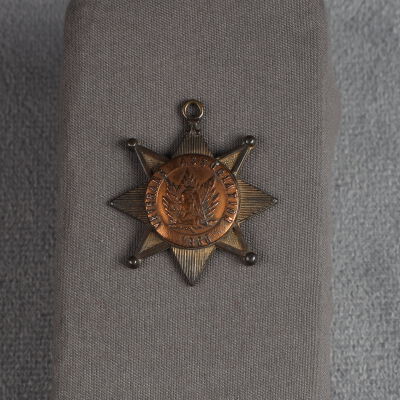 Medal, Commemorative