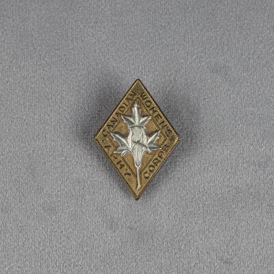 Badge, Cap