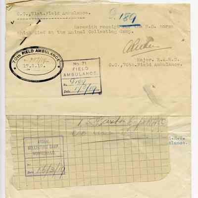 Letter “HD Horse Burial 70/71 Field Ambulance 02-17-1919”
