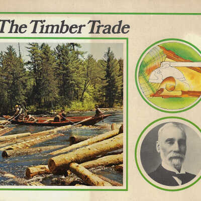 The Timber Trade in the Ottawa Valley