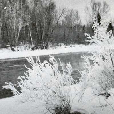 Photograph, Vermillion River, Capreol Beach, Capreol, Ontario.