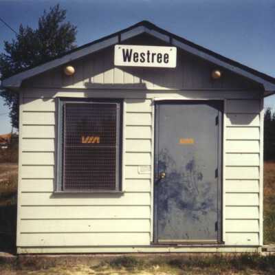 Photograph, CNR Station at Westree