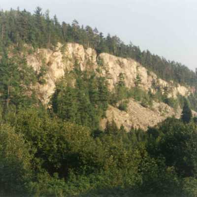 Photograph, Logging Expedition