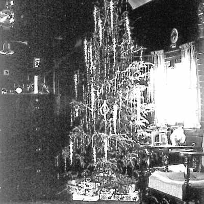 Photograph - Christmas tree in the McKay CN school car