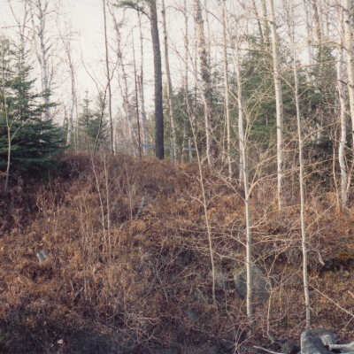 Photograph- "Crosses on Hill at Sellwood"