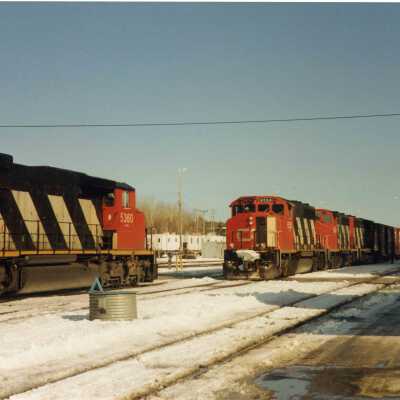 Photograph, Capreol, March 11 1991.