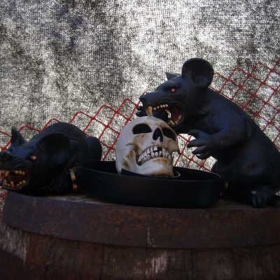 Photograph, NORMHC, 2011, Terror Train.