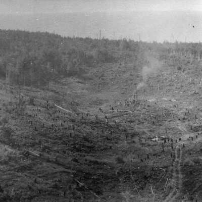 Photograph, Drilling Hole No. 304 (or 305), Edison 40. The road (foreground) passes to the right (15 ft) of Thomas Edison's abandoned test pit. The cleared area, shown as a break in this road, became the site of the longyear number one shaft.