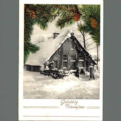 Dippe Carisse War Bride Post Card
